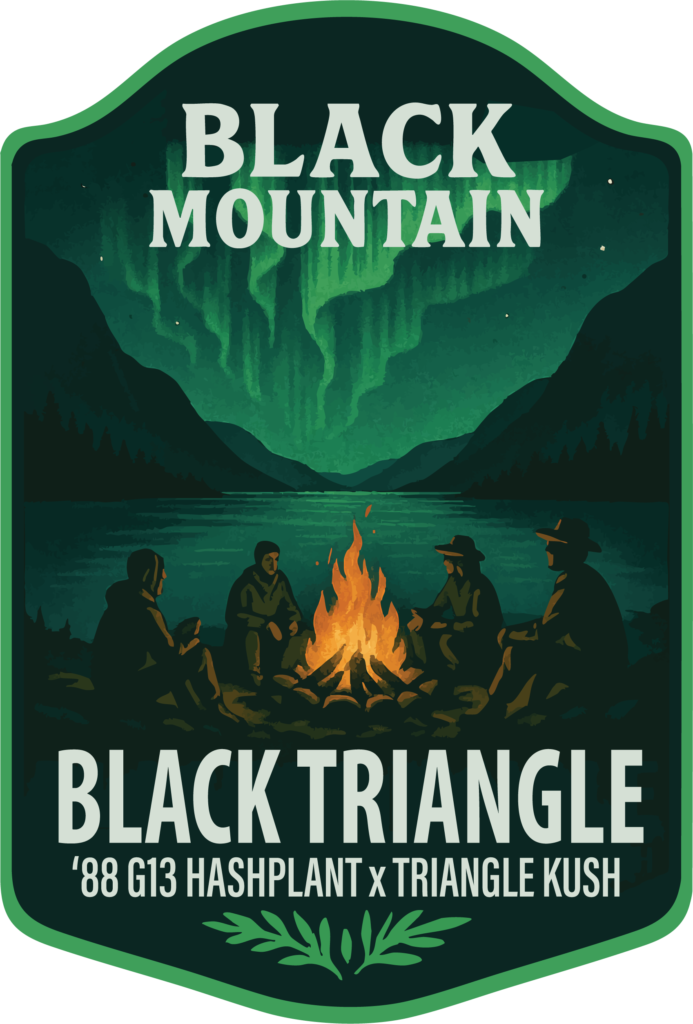 Black Triangle