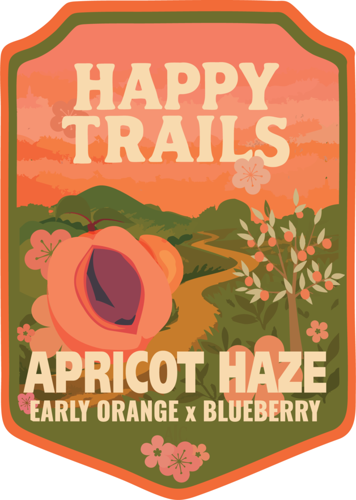 Apricot Haze