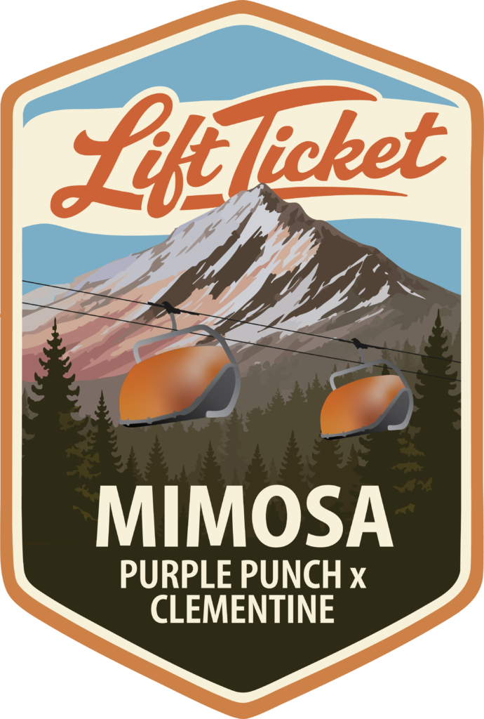 Mimosa
