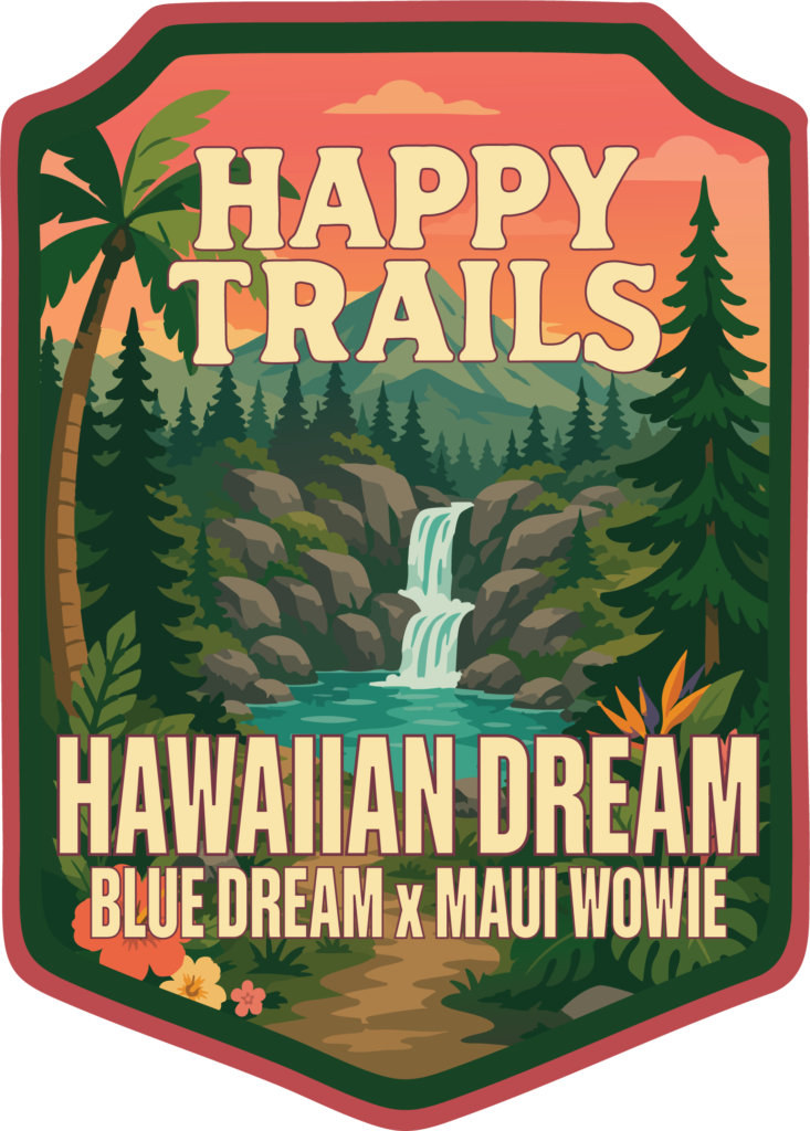 Hawaiian Dream